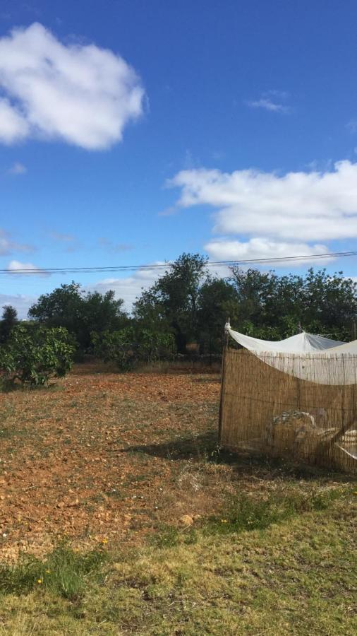 Solar Da Cotovia Villa Albufeira Eksteriør billede