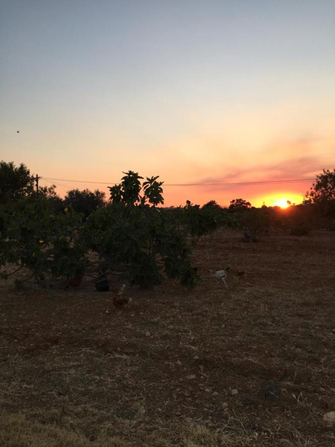 Solar Da Cotovia Villa Albufeira Eksteriør billede