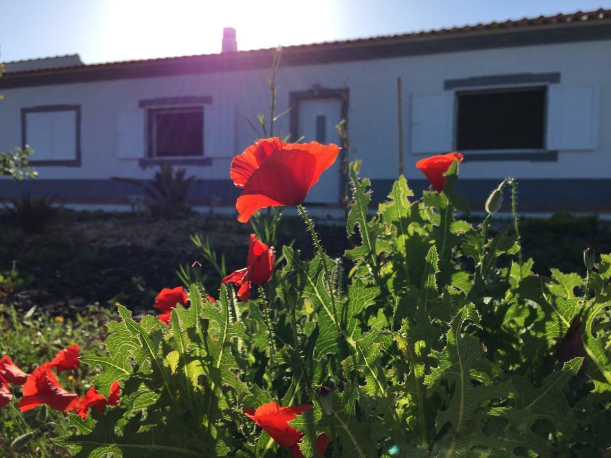 Solar Da Cotovia Villa Albufeira Eksteriør billede